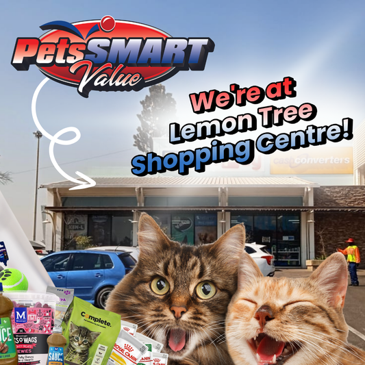 Affordable Dog and Cat Food / Alberton / Lemon Tree Shopping Centre