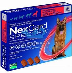 NexGard Spectra 30.1-60kg 3's