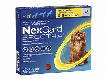 NexGard Spectra 3.6 - 7.5kg 1's