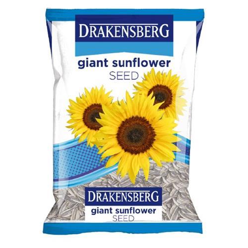 GAINT SUNFLOWER 5KG