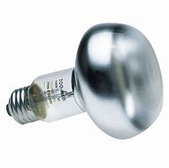 Repti Daylight Basking Lamp 75w