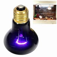Repti Nightglow Moonlight Lamp 50w