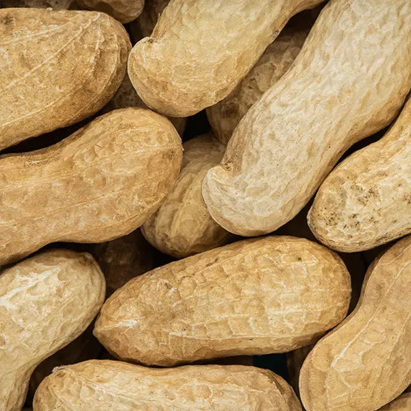 Unshelled Nuts Bag 200g
