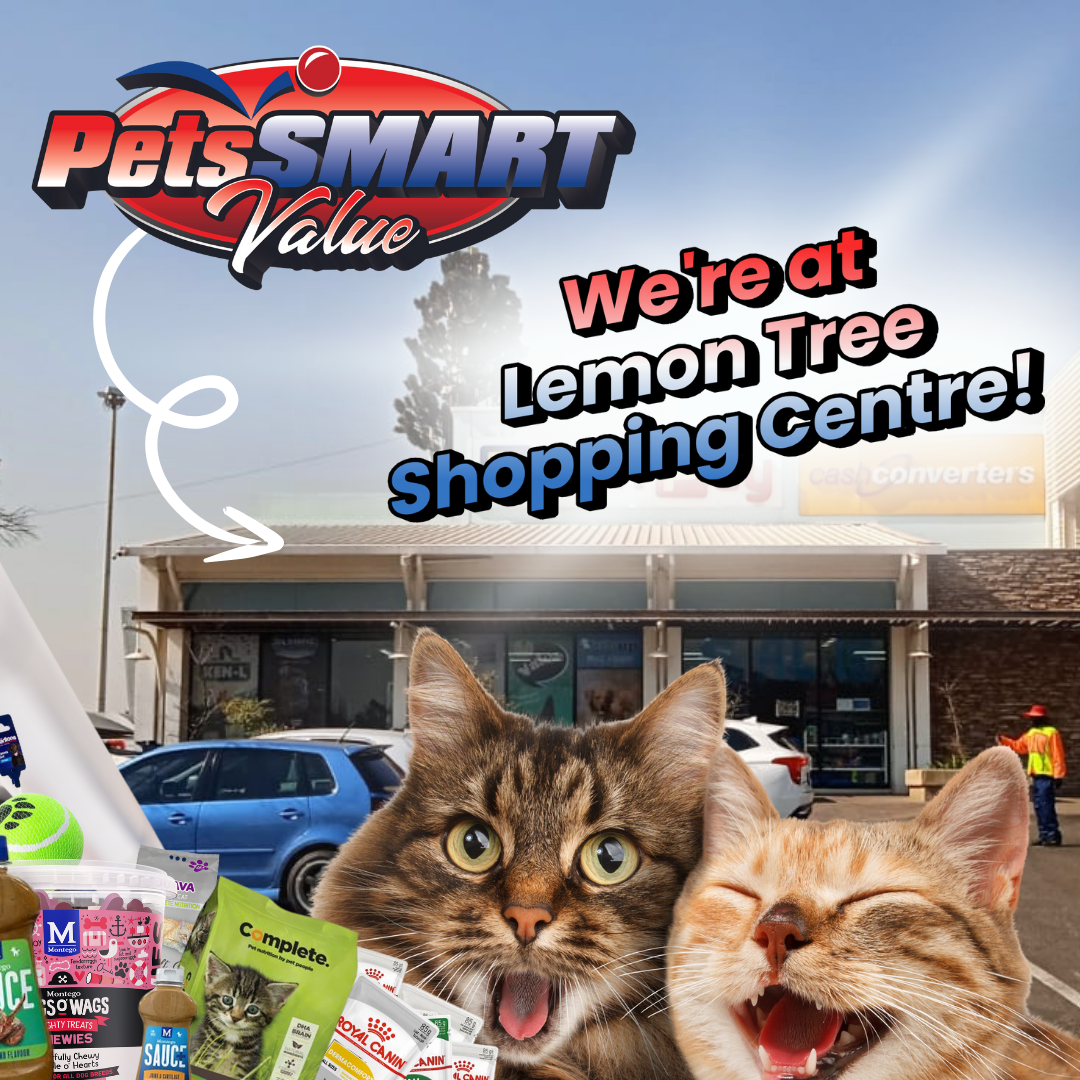 Affordable Dog and Cat Food / Alberton / Lemon Tree Shopping Centre