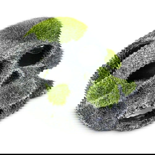 15cm Skull With Moss - Petssmart Value (Pty) Ltd. - 