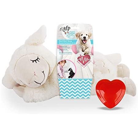 Little Buddy - Heart Beat Sheep