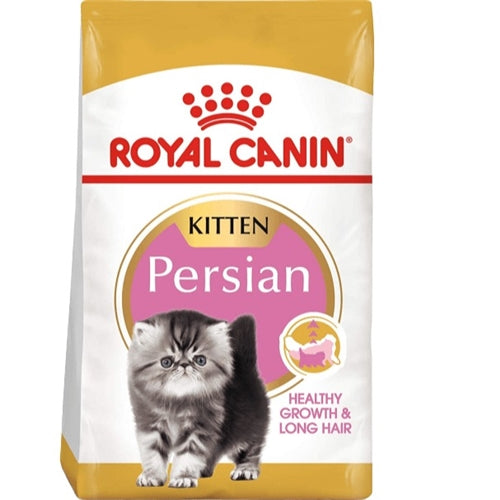 FBN Persian 2kg Kitten