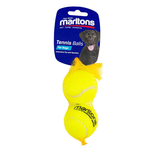 Squeaky Tennis Ball 2 Pack