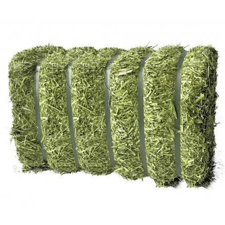 Lucerne block 12 l