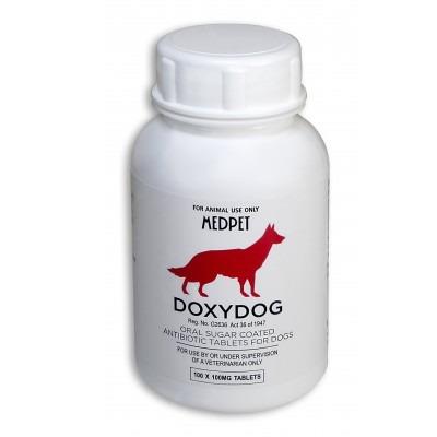Doxy Dog 100mg (single)