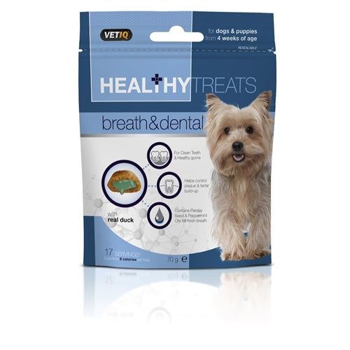 Healthy Treat Breath & Dental Dog 70g