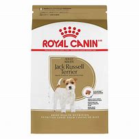 Royal Canin Jack Russel Adult 3kg