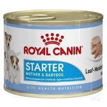 CHN STARTER MOUSSE CAN 195g - Petssmart Value (Pty) Ltd. - 