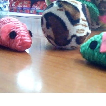 Cat Toy Bucket - Petssmart Value (Pty) Ltd. - 