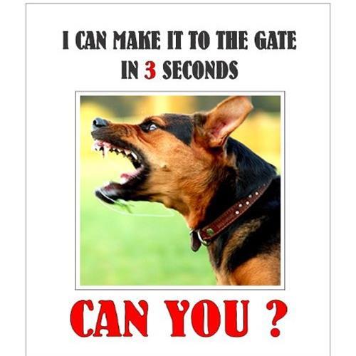 Dog Beware Sign: "I can make it to the gate in 3 seconds - Can you ?"