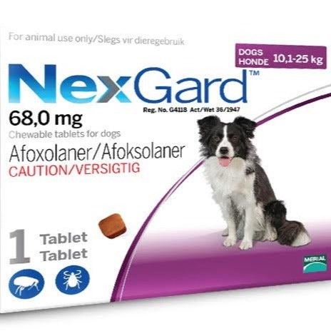 NexGard 1 Tablet for 10kg to 25kg dogs