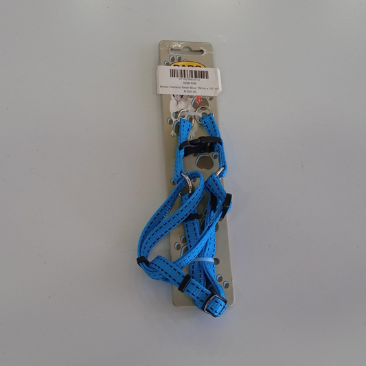 Nylon Harness Neon Blue 10mm x 10''-16''
