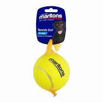 Tennis ball 1 pack large