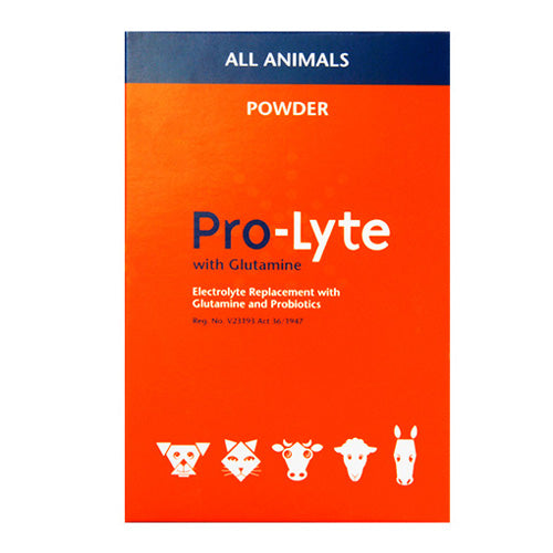 Pro-Lyte + Glutamine 20g (10 saschets)