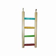Parrot 4 Step Ladder