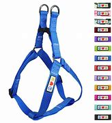 Dog Harness Grad Blue 20mm
