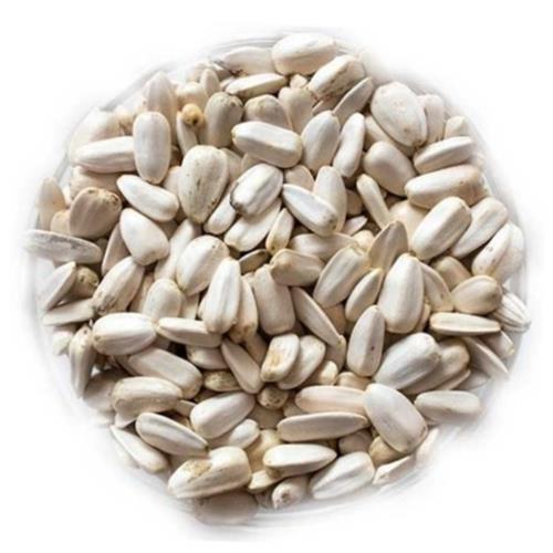 White Sunflower Bird Food 25kg