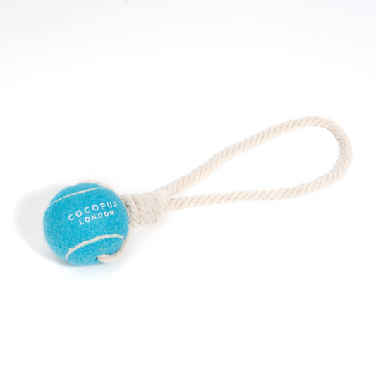 Tennis Ball On Rope Blue