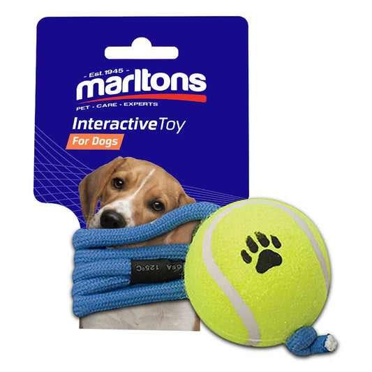 Tennis Ball On Rope Yellow