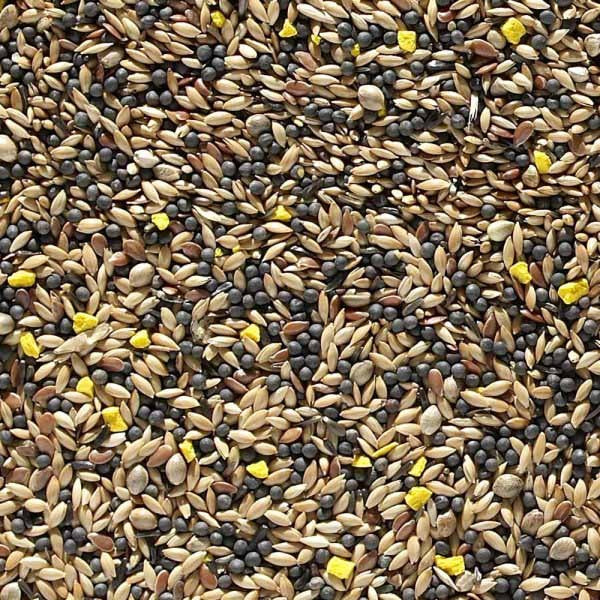 Mixed Bird 2Kg