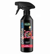 Pet Stain Remover 500ml