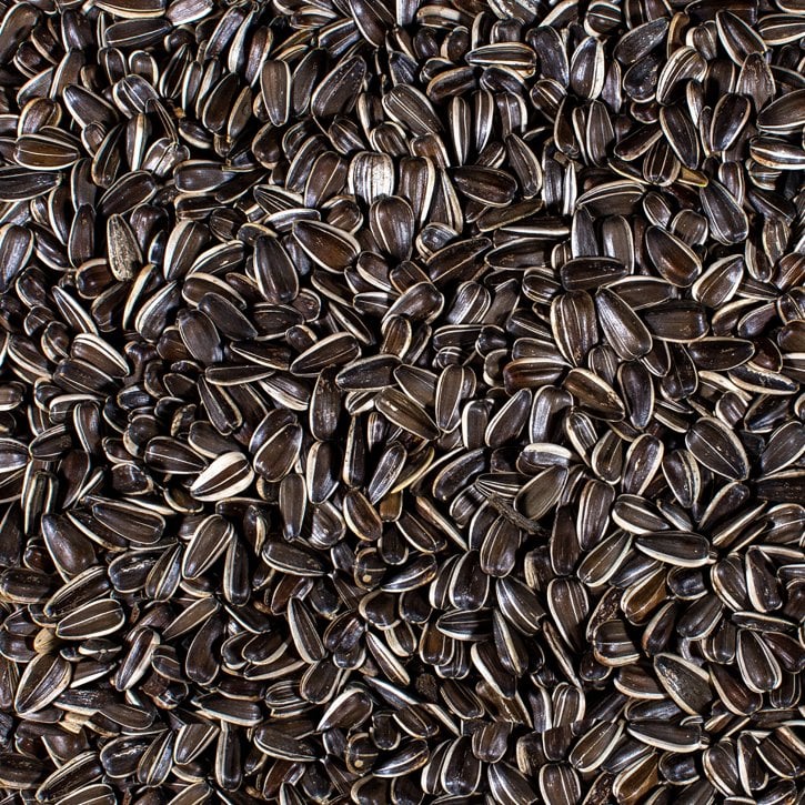 Striped Sunflower 2kg