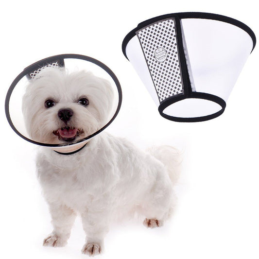 Protective Dog Collar Small