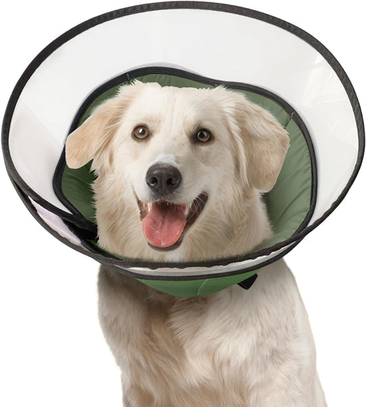 Protective Dog Collar Large