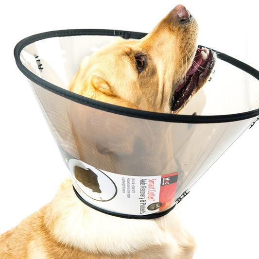 Protective Dog Collar XL